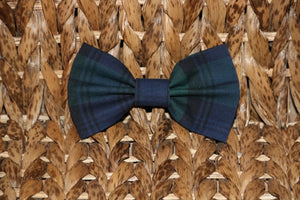 Pet bow tie - blue and green tartan