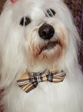 Pet bow tie - beige corduroy tartan