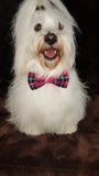 Pet bow tie - pink corduroy tartan