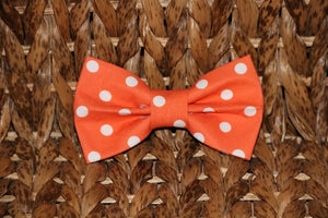 Pet bow tie - Orange Polka Dot