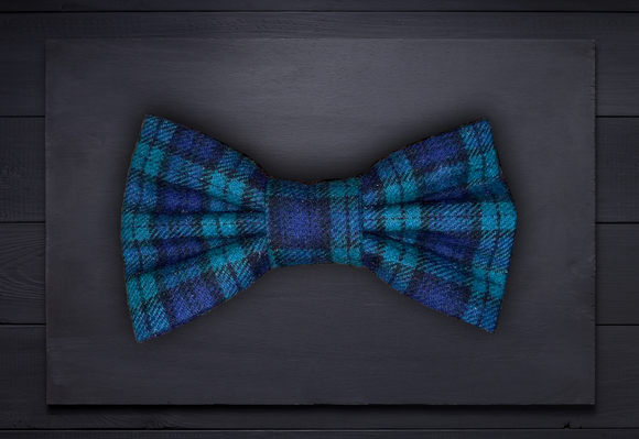 Pet bow tie - Brushed Cotton Blue Tartan