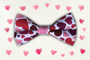 Pet bow tie - Hearts various colours