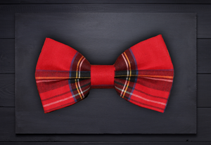 Pet bow tie - Red Tartan